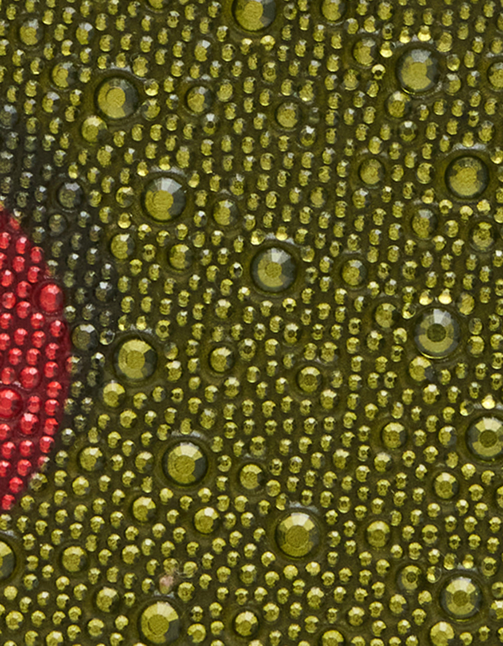 OLIVE YOU GREEN - Image 7
